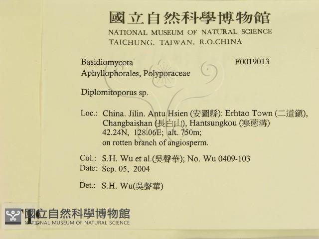 登錄號:F0019013藏品圖，第2張