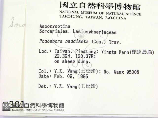 登錄號:F0003013藏品圖，第2張