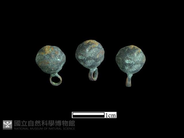 Accession Number:BK-CU013 Collection Image, Figure 1, Total 3 Figures