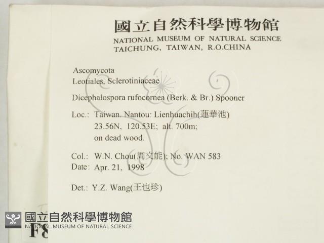 登錄號:F0008313藏品圖，第2張