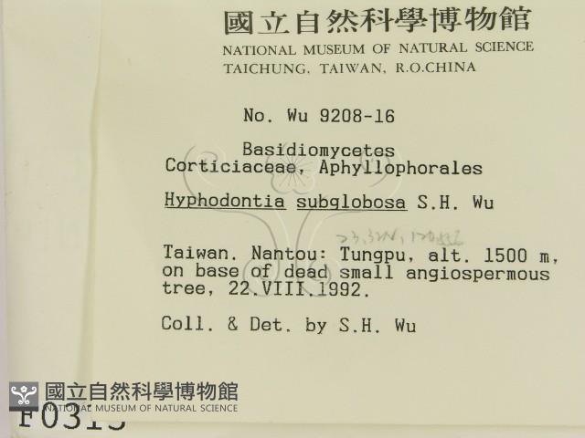 登錄號:F0000313藏品圖，第2張