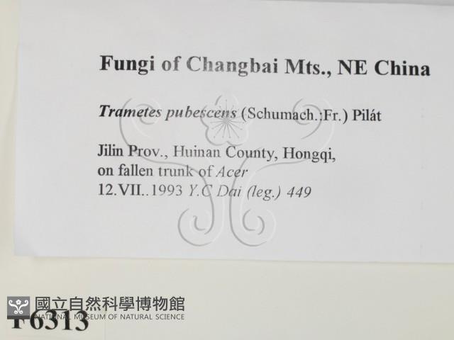 登錄號:F0006313藏品圖，第2張