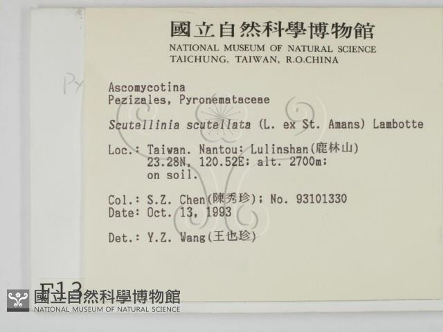 登錄號:F0001313藏品圖，第2張