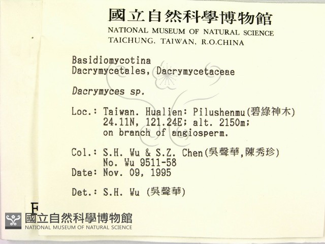 花耳屬藏品圖，第2張