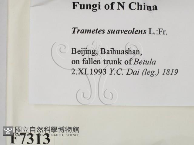 登錄號:F0007313藏品圖，第2張