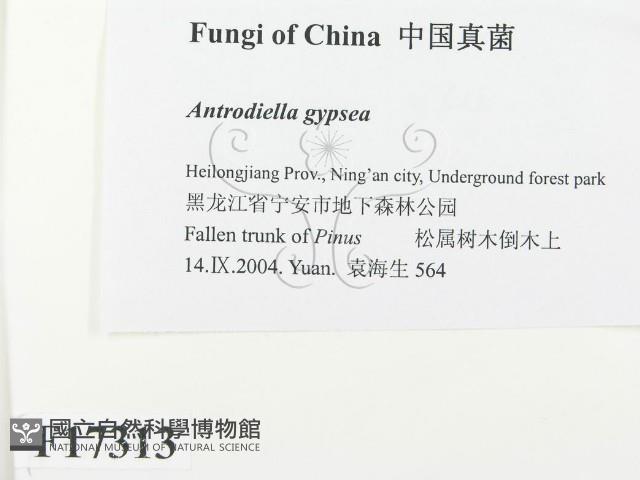 登錄號:F0017313藏品圖，第2張