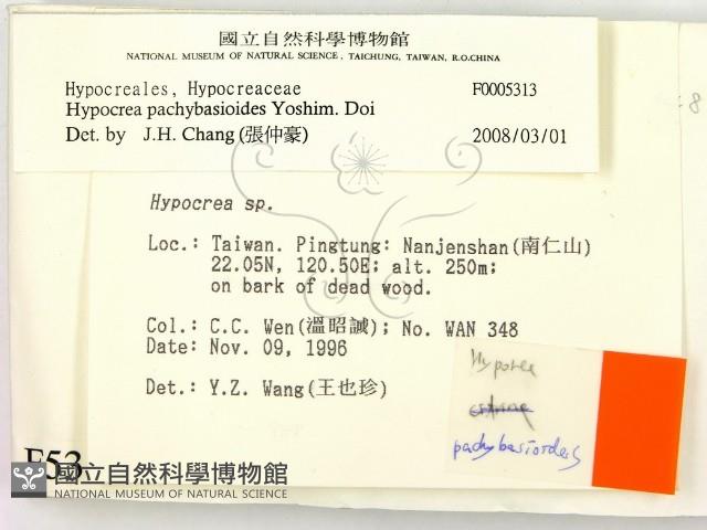 登錄號:F0005313藏品圖，第2張