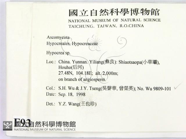 登錄號:F0009313藏品圖，第2張