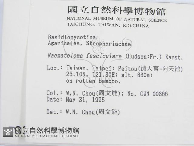 登錄號:F0003313藏品圖，第2張