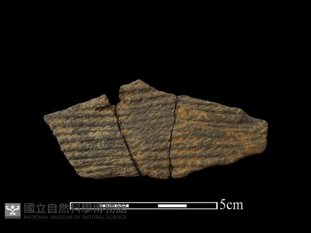 陶片藏品圖，第1張