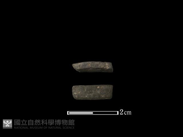 陶環藏品圖，第1張