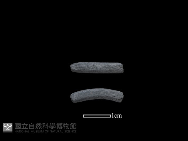 陶環藏品圖，第1張