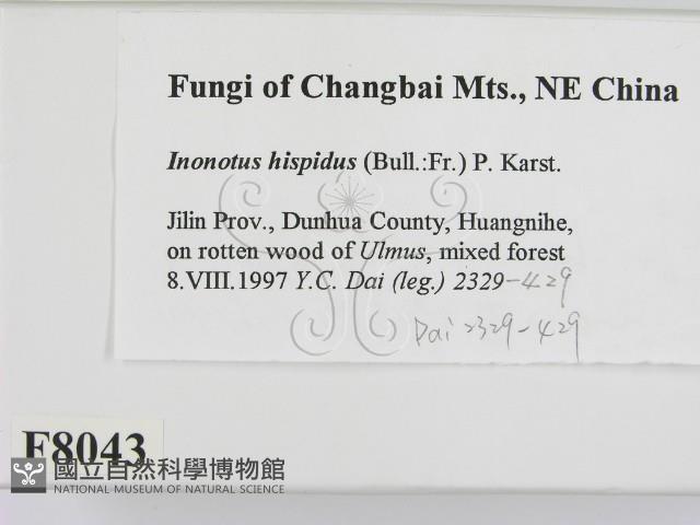 登錄號:F0008043藏品圖，第2張