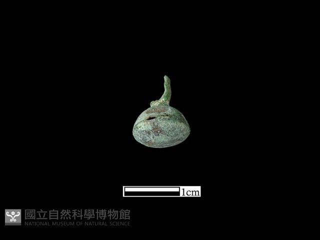 墜飾藏品圖，第1張