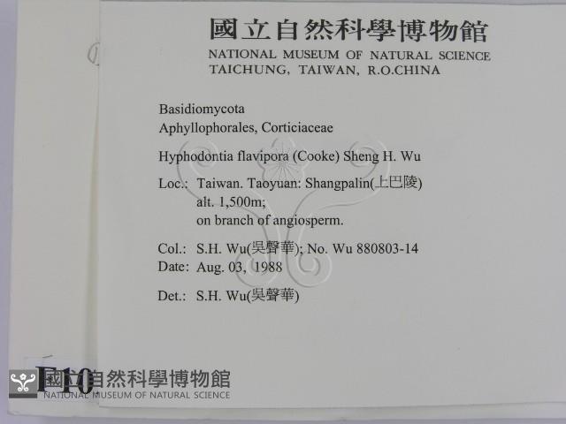 登錄號:F0010293藏品圖，第2張