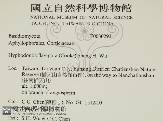 登錄號:F0030293藏品圖，第2張