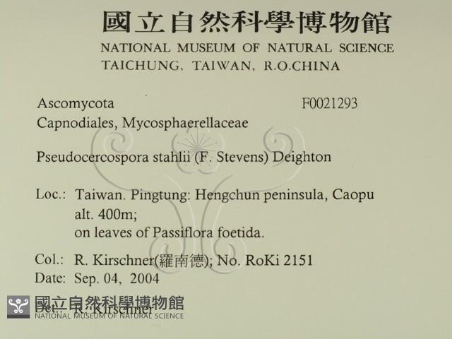 登錄號:F0021293藏品圖，第2張