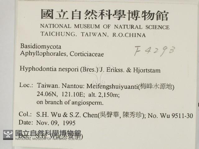 登錄號:F0004293藏品圖，第2張