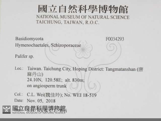 登錄號:F0034293藏品圖，第2張