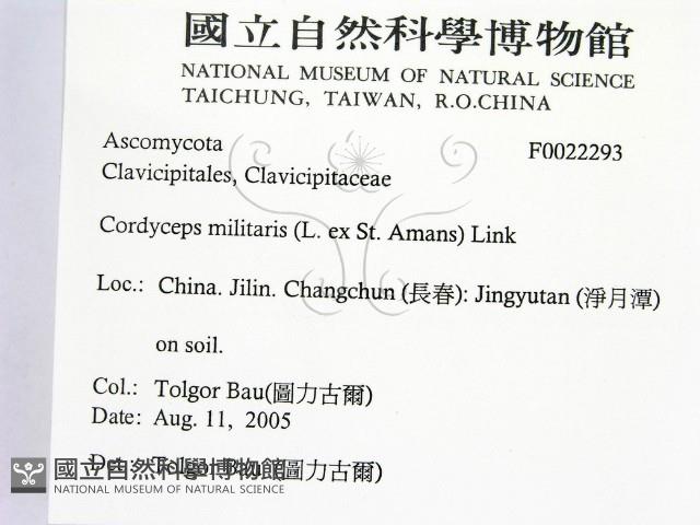 登錄號:F0022293藏品圖，第2張