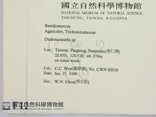 登錄號:F0012293藏品圖，第2張