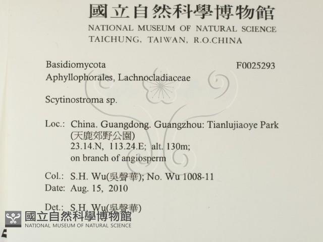 登錄號:F0025293藏品圖，第2張