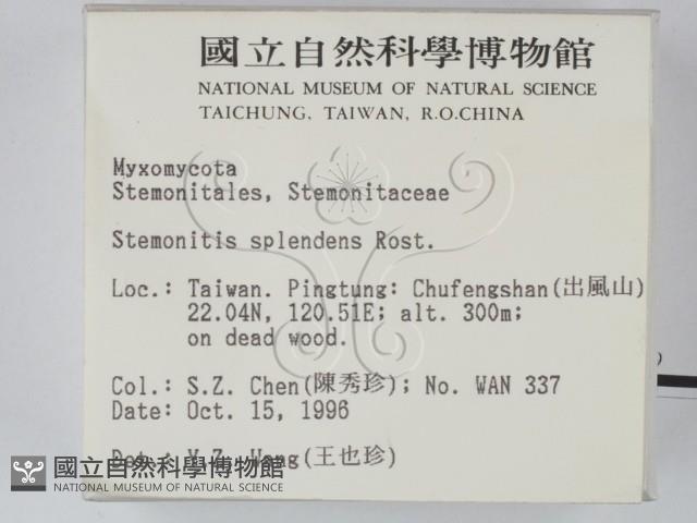 登錄號:F0005293藏品圖，第2張