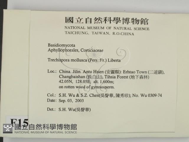 登錄號:F0015293藏品圖，第2張