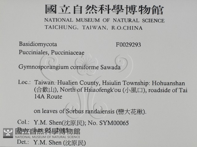 登錄號:F0029293藏品圖，第2張