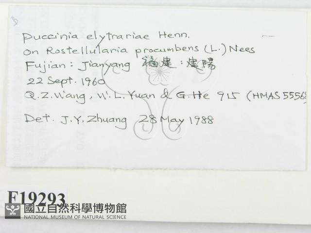 登錄號:F0019293藏品圖，第2張