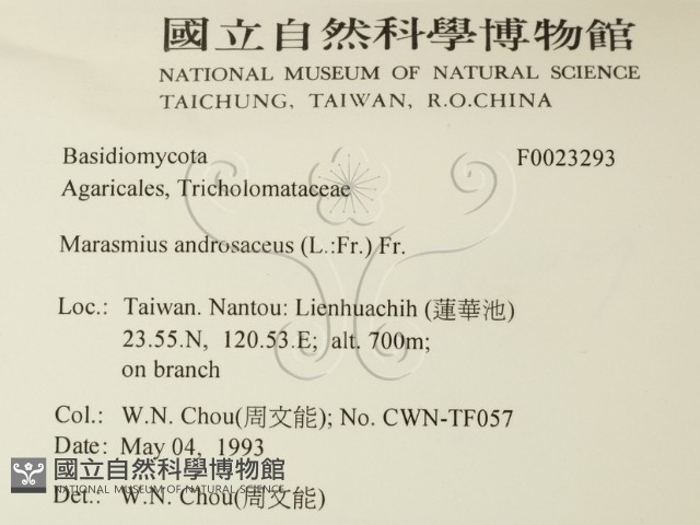 登錄號:F0023293藏品圖，第2張