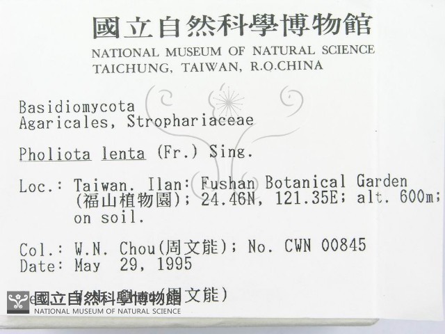 登錄號:F0003293藏品圖，第2張