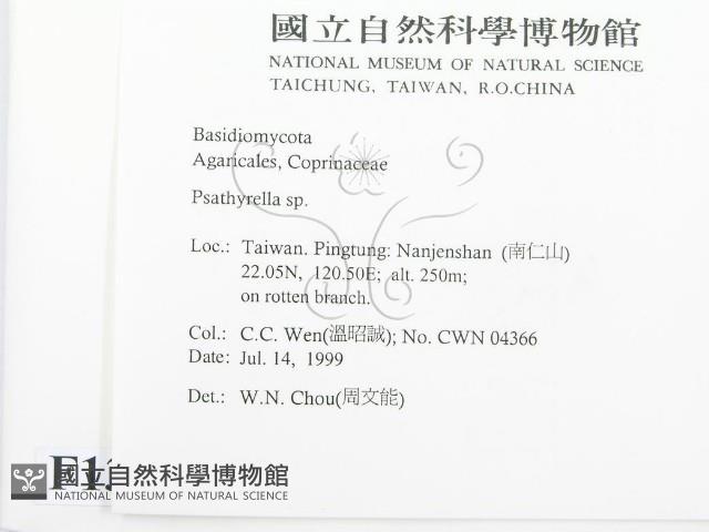 登錄號:F0013293藏品圖，第2張