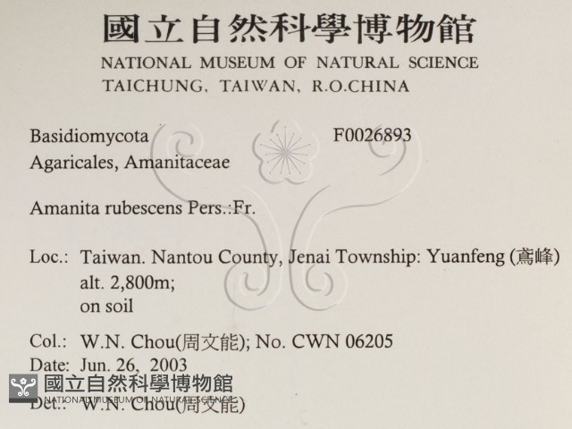 登錄號:F0026893藏品圖，第2張