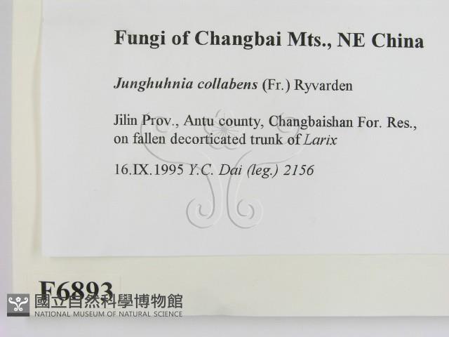 登錄號:F0006893藏品圖，第2張