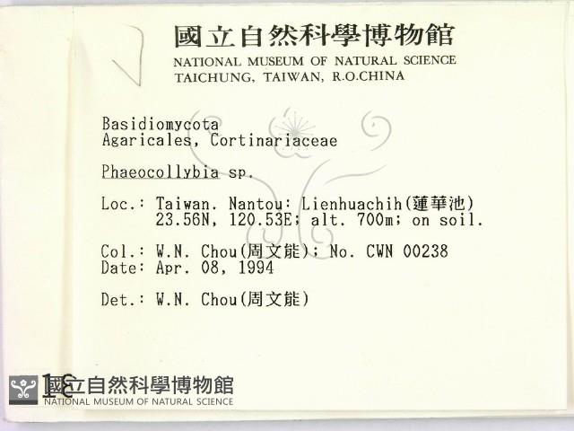 登錄號:F0001893藏品圖，第2張