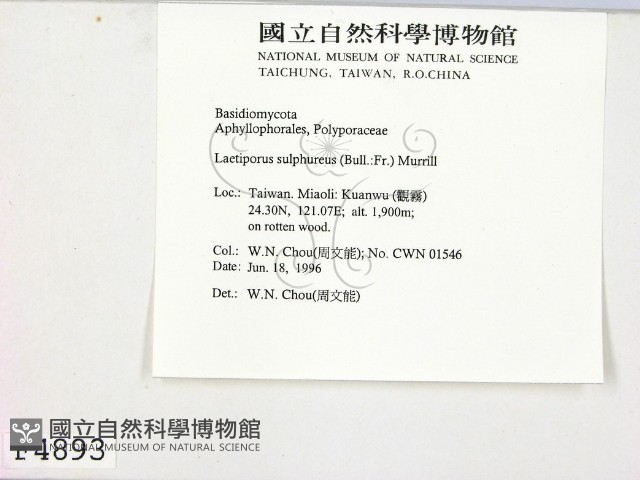 登錄號:F0004893藏品圖，第2張