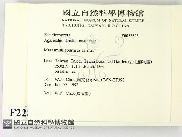 登錄號:F0022893藏品圖，第2張