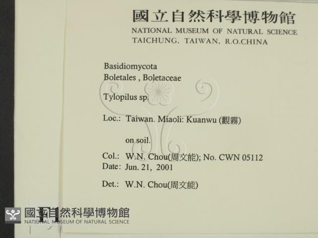 登錄號:F0015893藏品圖，第2張
