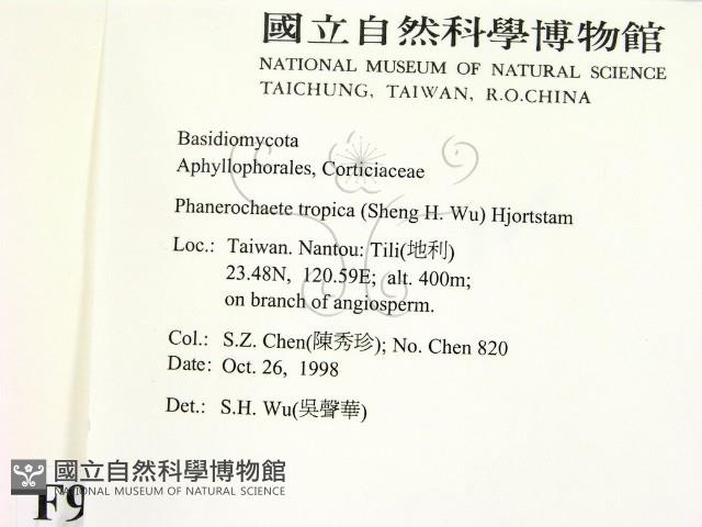 登錄號:F0009893藏品圖，第2張