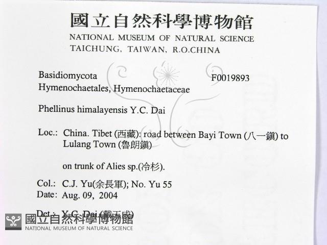 登錄號:F0019893藏品圖，第2張