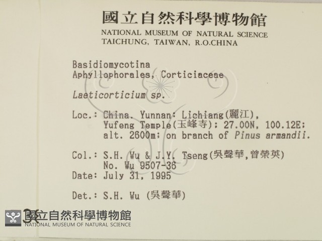 登錄號:F0003893藏品圖，第2張