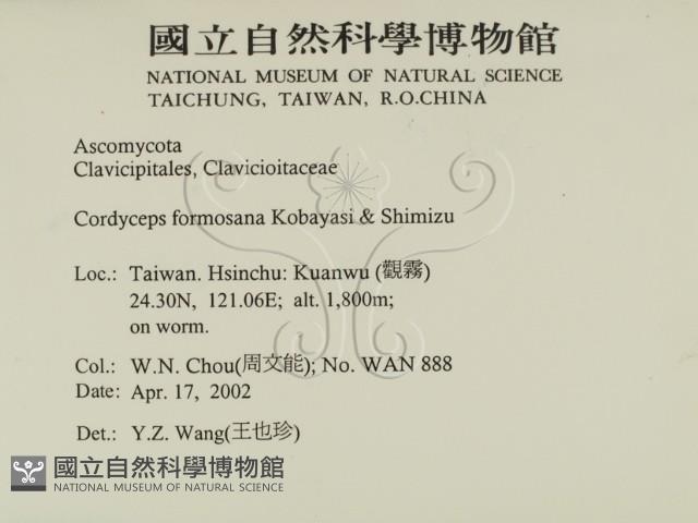 登錄號:F0013893藏品圖，第2張