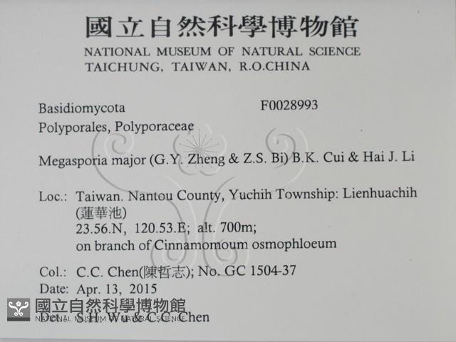 登錄號:F0028993藏品圖，第2張