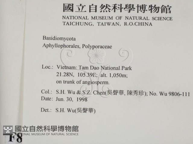 登錄號:F0008993藏品圖，第2張