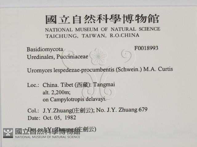登錄號:F0018993藏品圖，第2張