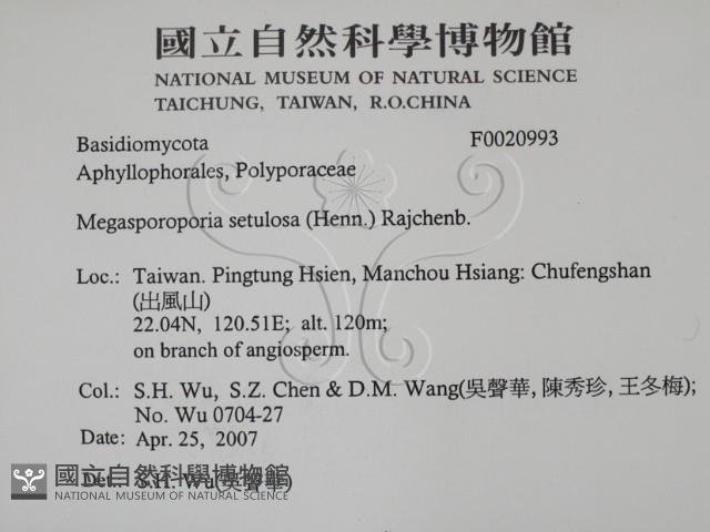 登錄號:F0020993藏品圖，第2張