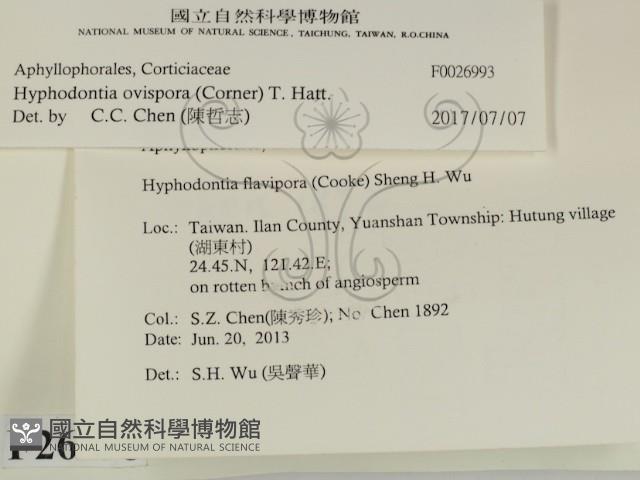 登錄號:F0026993藏品圖，第2張