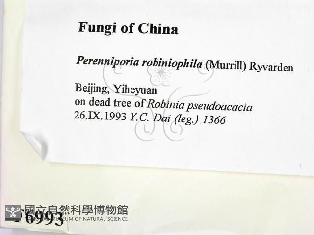 登錄號:F0006993藏品圖，第2張