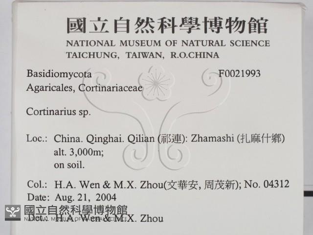 登錄號:F0021993藏品圖，第2張